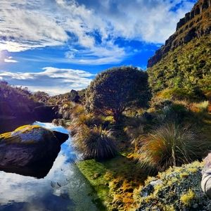 Meet your Posher, CF.